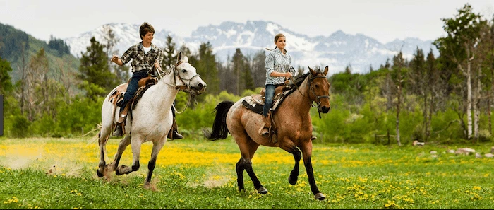 Confident plus-size woman riding Newport a horse through a field with a smile on her face.